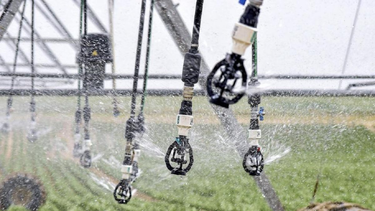 El sector apuesta por la modernización de regadíos y el uso de energías renovables para ahorrar costes y optimizar el uso del agua.-JOSÉ CARLOS CASTILLO