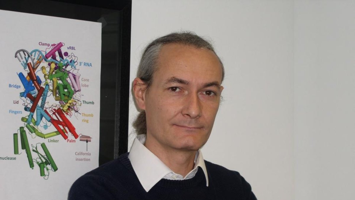Juan Reguera, virólogo segoviano y doctor en biología molecular por la Universidad Autónoma de Madrid.-EL MUNDO