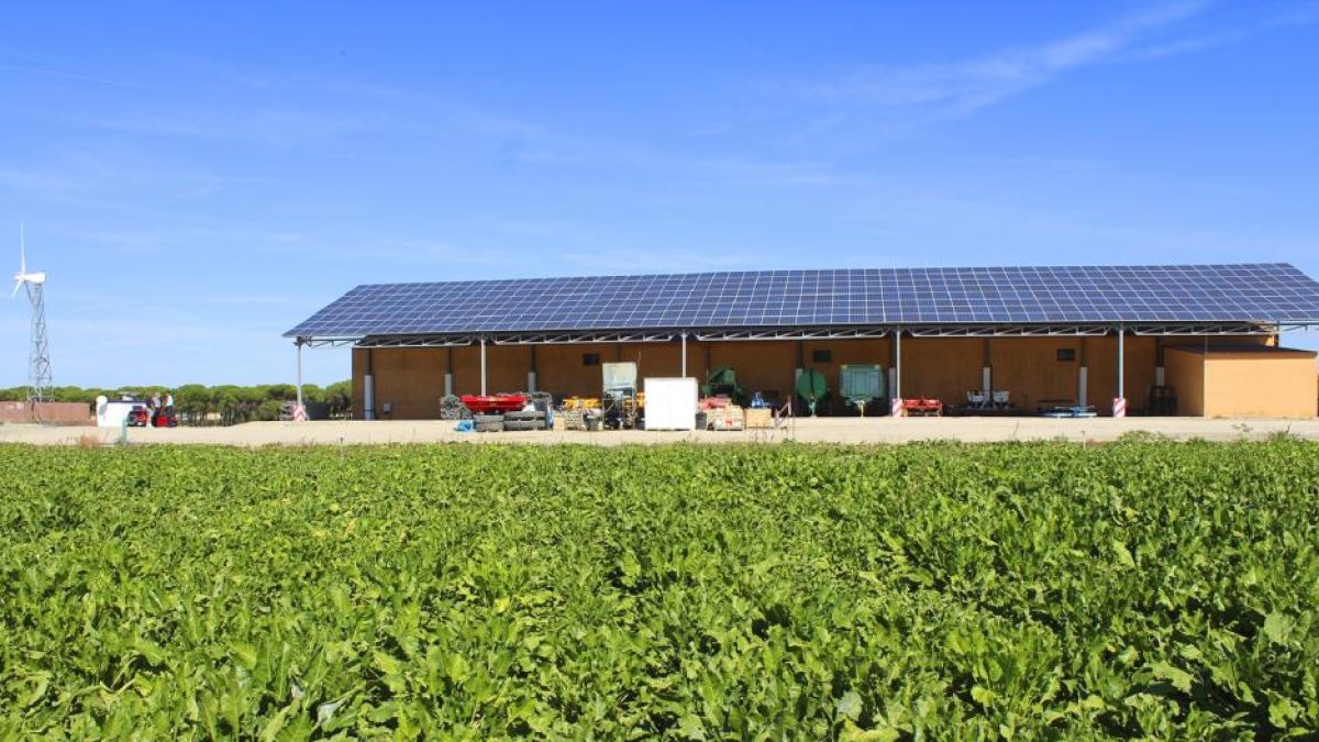 Mix energético solar y eólico en una explotación de remolacha en Alcazarén (Valladolid ), donde se han instalado estos sistemas hace dos campañas con un importante ahorro energético.-M.C.