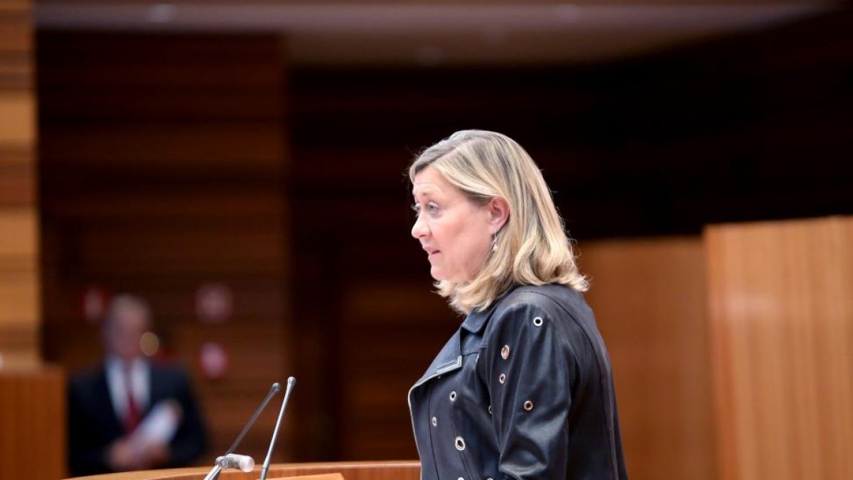 La consejera de Economía y Hacienda, Pilar del Olmo, explica el Plan Director de Promoción Industrial durante el Pleno de las Cortes de Castilla y León.-ICAL