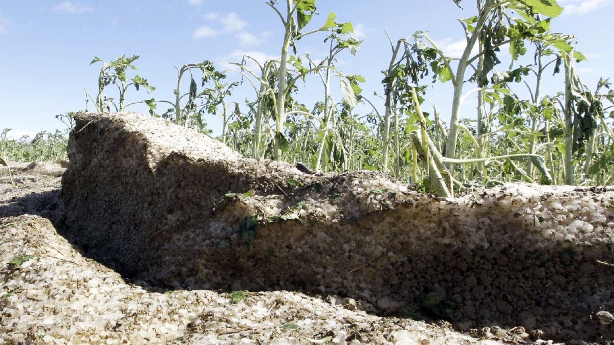 Granizo que todavía permanecía ayer amontonado en una de las fincas de labor de Los Villares.-L.A.T.