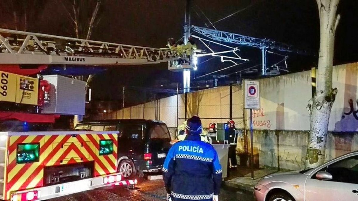 En la retirada del nido de Valladolid participaron Bomberos, Adif y la Policía Local.-E. M.