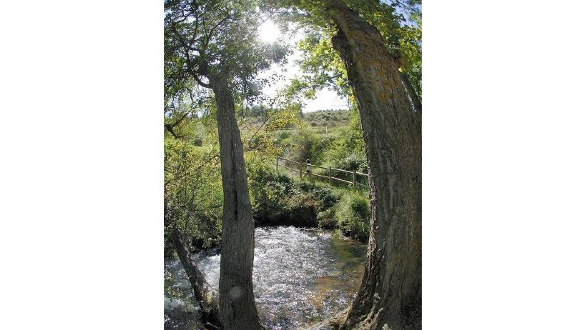 Nacimiento del rio queiles en Vozmediano. Soria 22-8-08