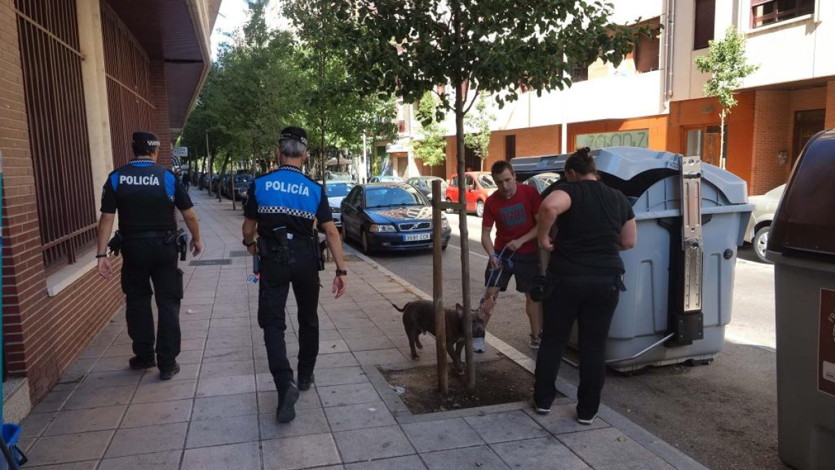 La policía en el contenedor donde aparecía la granada. PHOTOGENIC