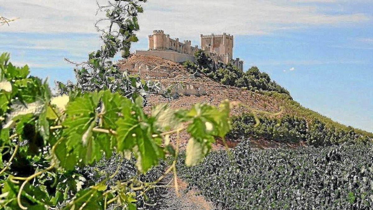 Vista del castillo de Peñafiel.-EL MUNDO