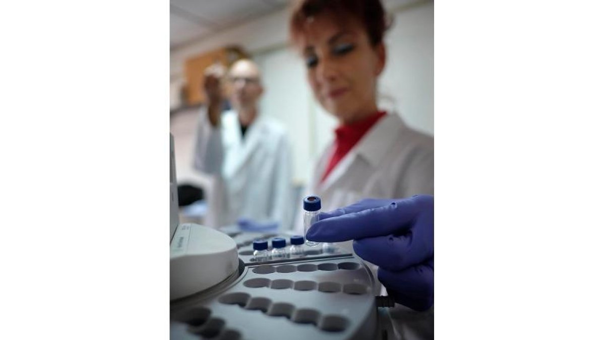 IRNASA 1