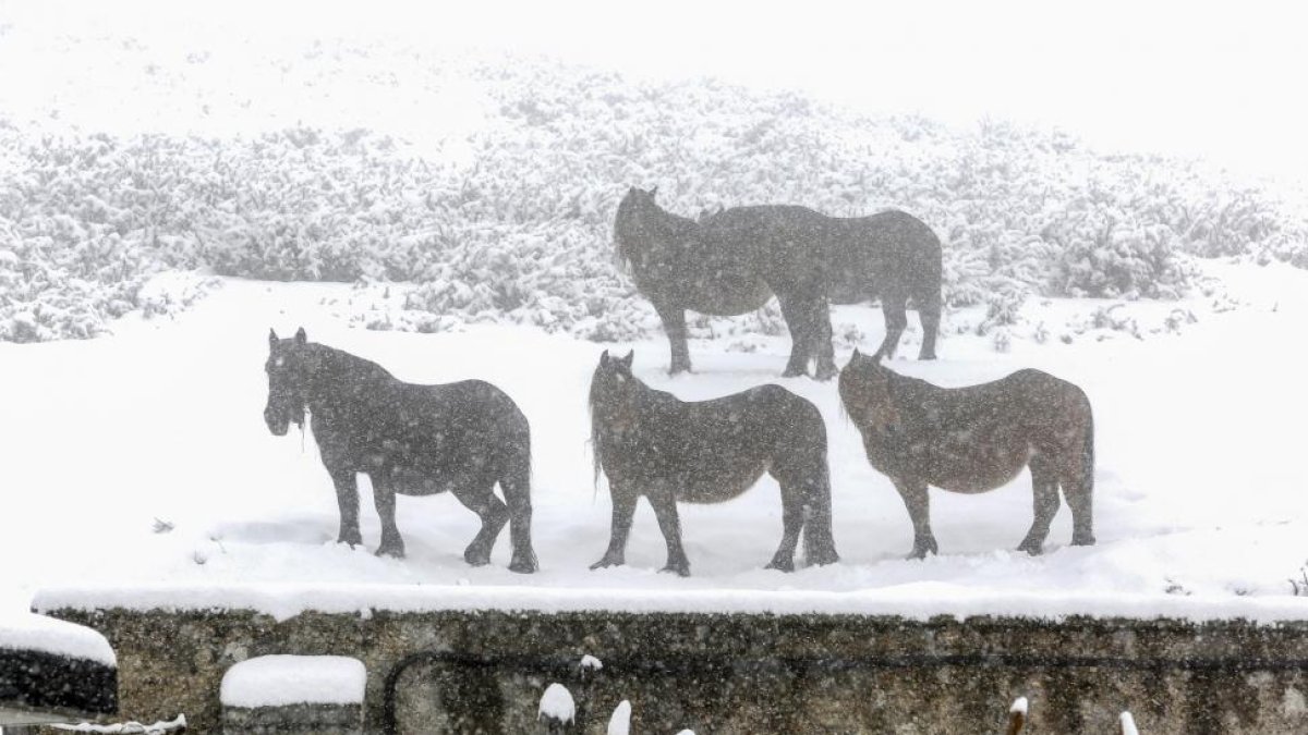 Nieve en la provincia de León.-CARLOS S. CAMPILLO/ ICAL