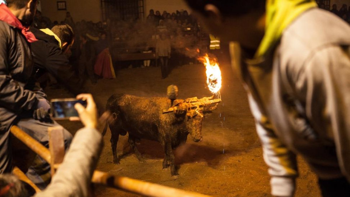Toro Jubilo, en una imagen de archivo.