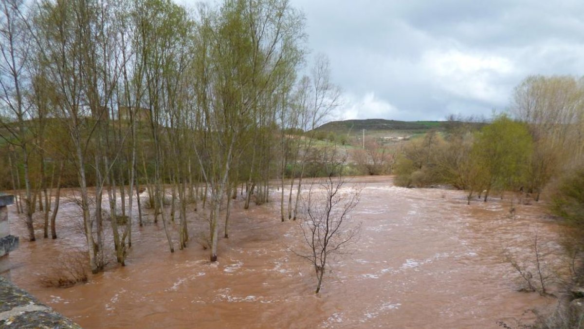 El desbordamiento del río Arlanza a su paso por Escuderos en abril causó nuevas inundaciones en fincas de cultivo.-ARTURO MARTÍN