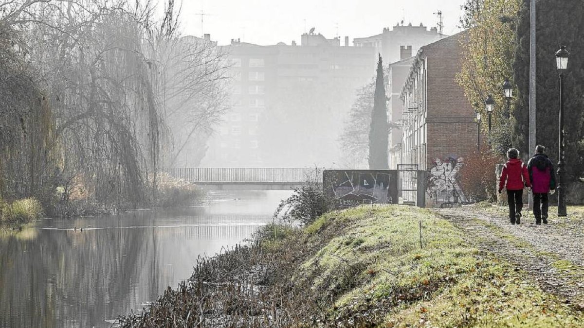 Los caminos del Canal de Castilla muestran signos de abandono-Pablo Requejo