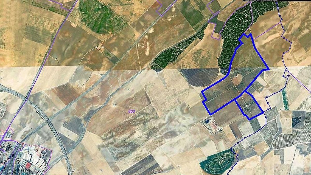 Ubicación de las parcelas que ocupará la bodega promovida por el conocido empresario medinense. A la izquierda, Elías Redondo en la bodega Caraballas.-E.R. / PNOA