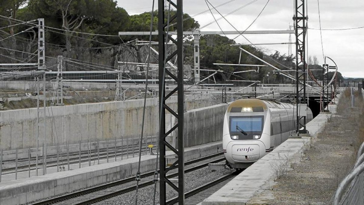 Un tren pasa por el túnel del pinar de Antequera en dirección a Valladolid.-J.M. LOSTAU