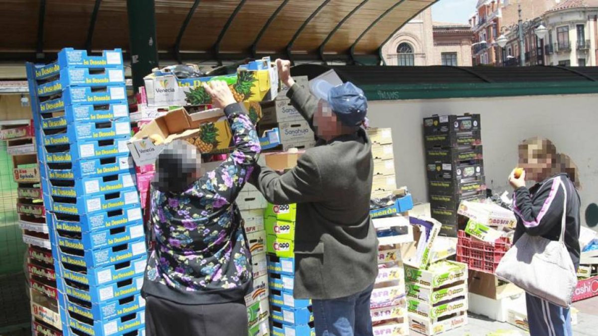 Varias personas buscan fruta en las cajas apiladas en la plaza España al término del mercado diario-J.M.Lostau