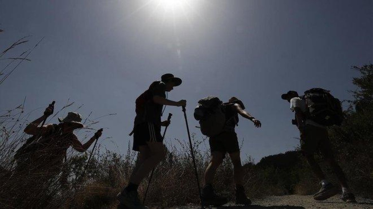 Un grupo de peregrinos, durante una etapa del Camino de Santiago, en agosto del 2018.-JESÚS DIGES (EFE)