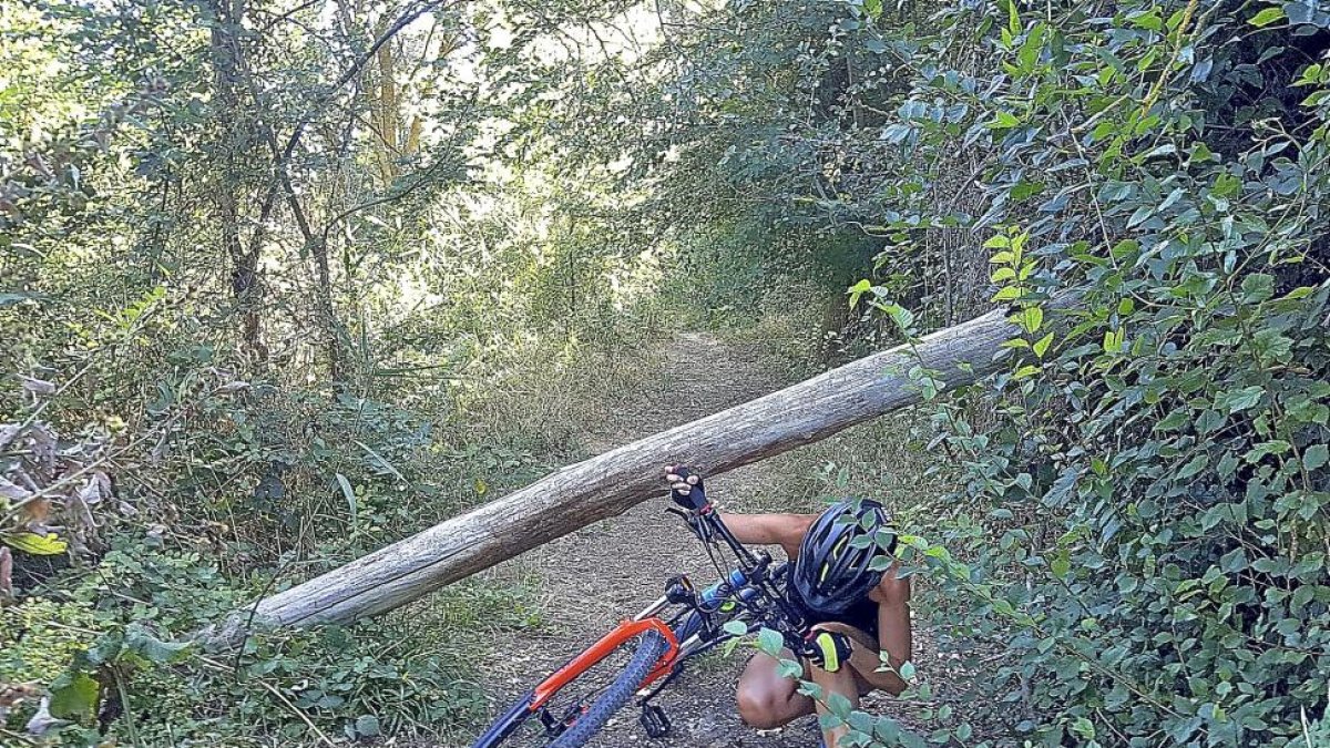 Una ciclista pasa por debajo de un árbol caído cuyo tronco cruza el sendero e imposibilita el avance.-PABLO REQUEJO
