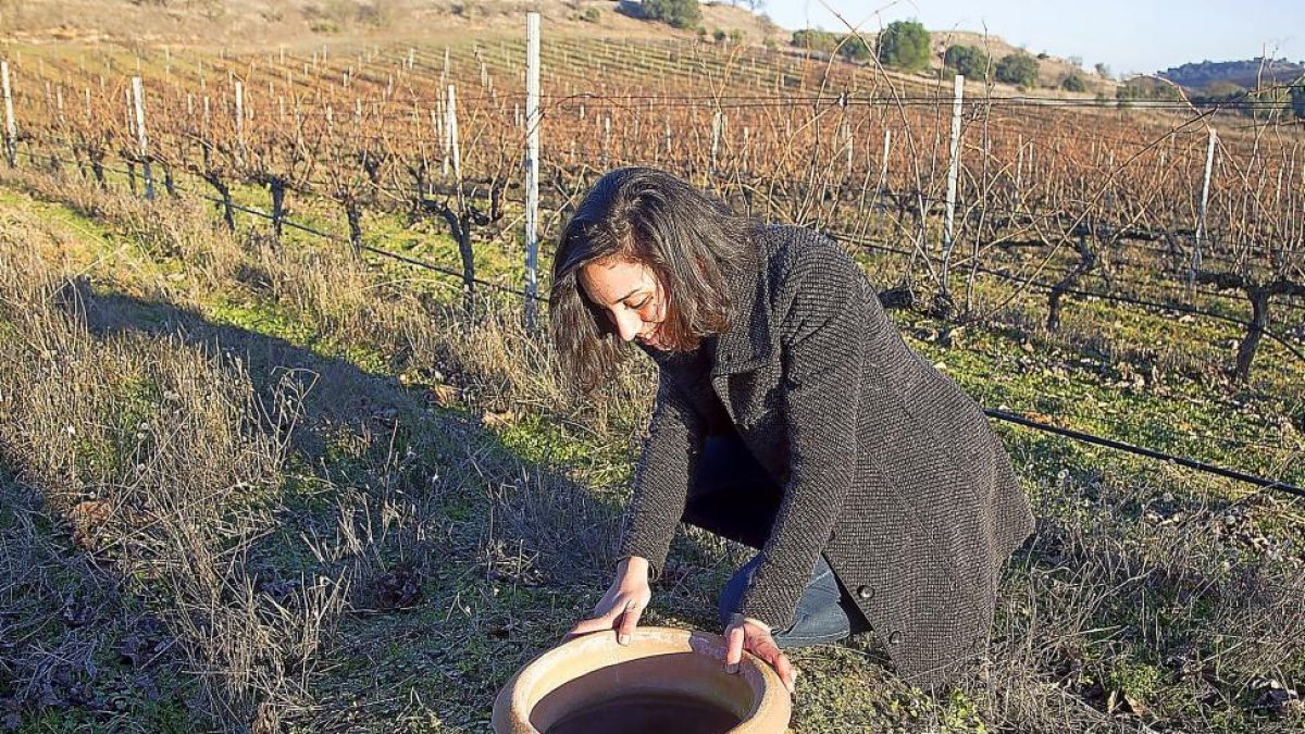 María Alfonso observa, este invierno, el interior de una de las ánforas enterradas en el viñedo-Marian Deneiva