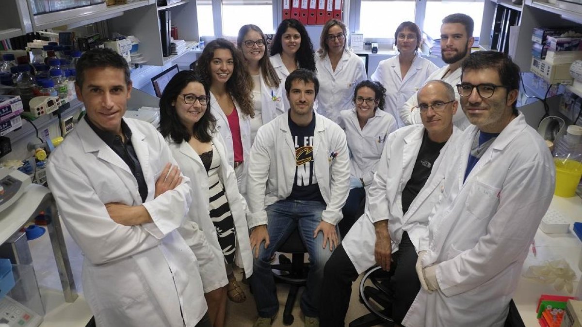 Grupo de investigación dirigido por Xosé R. Bustelo en el Centro del Cáncer de Salamanca.-ENRIQUE CARRASCAL