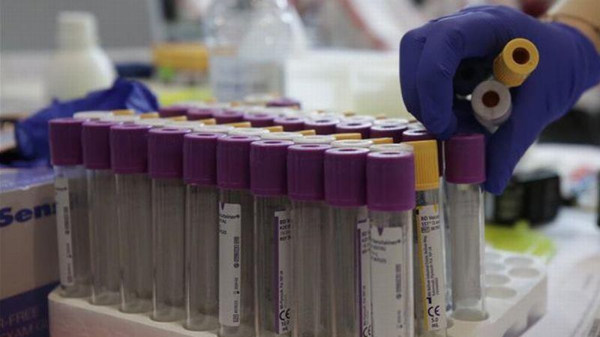 Tubos para guardar la sangre de las donaciones.-CHUS MARCHADOR