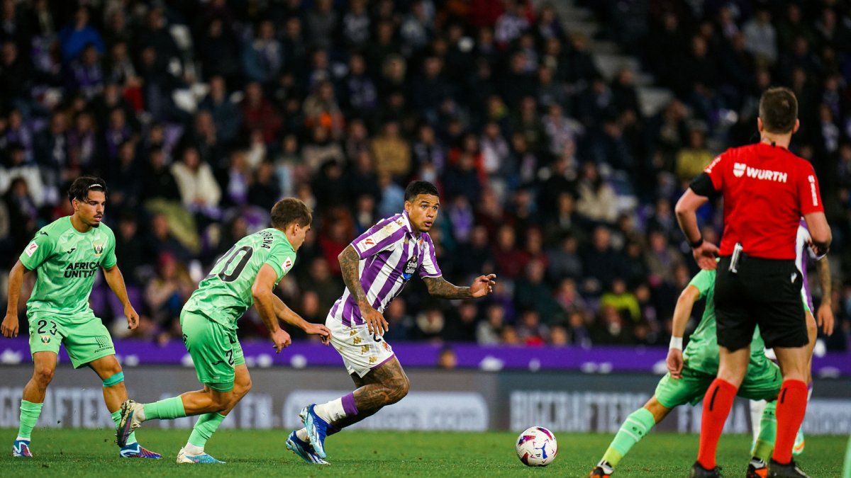 Kenedy, duda blanquivioleta en Huesca.