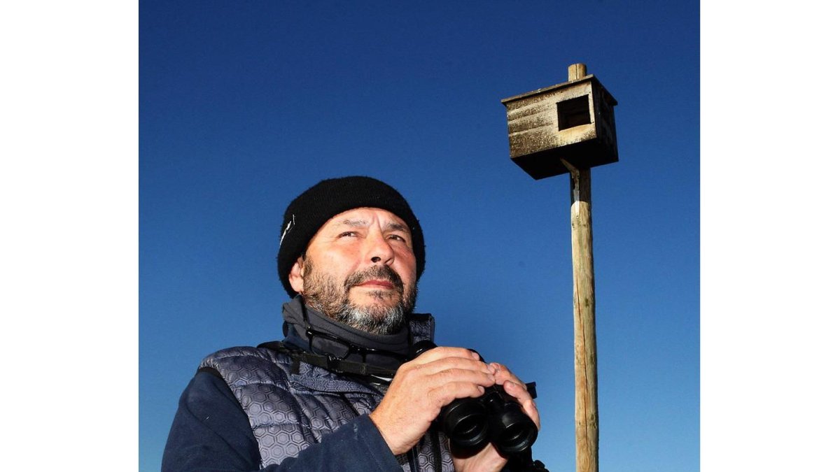 Fernando Garcés, junto a uno de los nidales instalados en Tierra de Campos.-BRÁGIMO