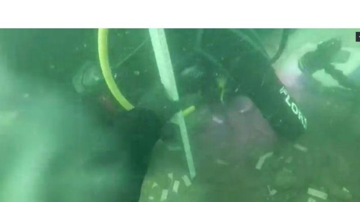 Imagen submarina en el Golfo de Mexico-EL PERIÓDICO