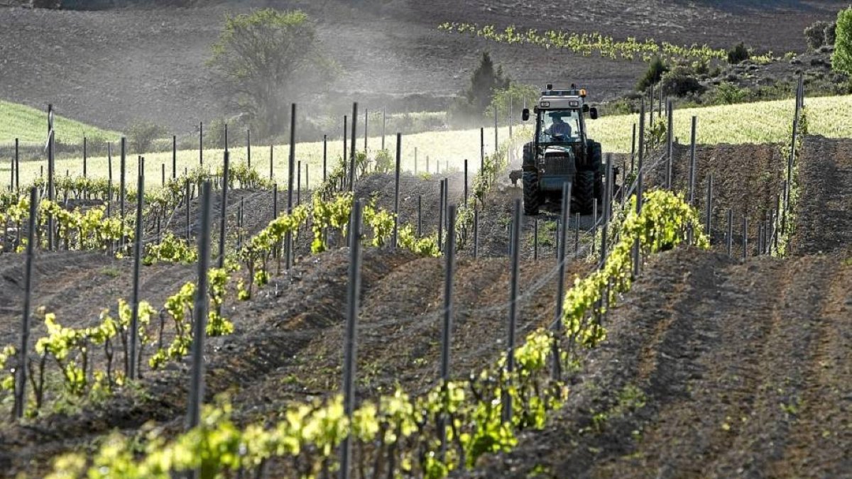 Tractor quitando rastrojos en Santa Cruz de la Salceda (Burgos)-El Mundo