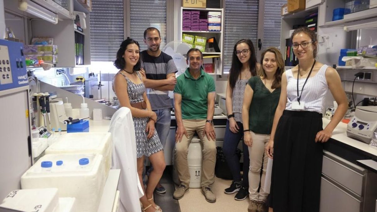 Equipo de investigadores del Centro del Cáncer de Salamanca que participa en el proyecto.-ENRIQUE CARRASCAL