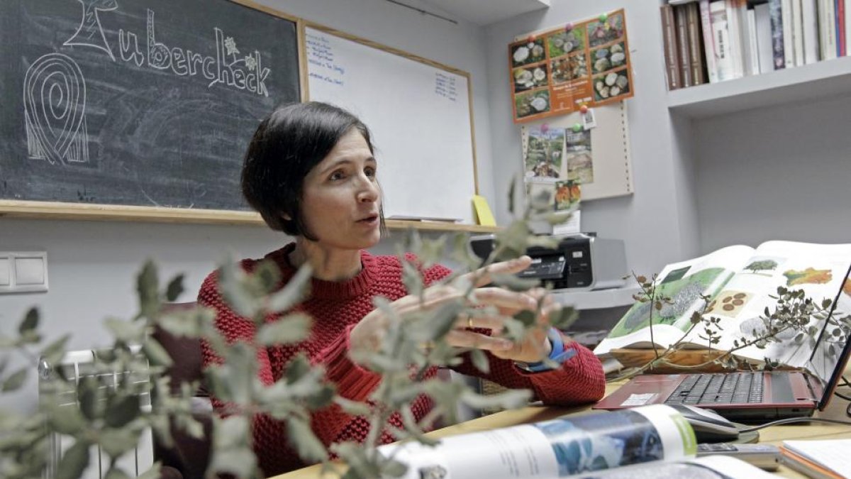Teresa Ágreda es una de la socias de la empresa Genius que ha desarrollado la herramienta para evaluar los terrenos truferos.-LUIS ÁNGEL TEJEDOR