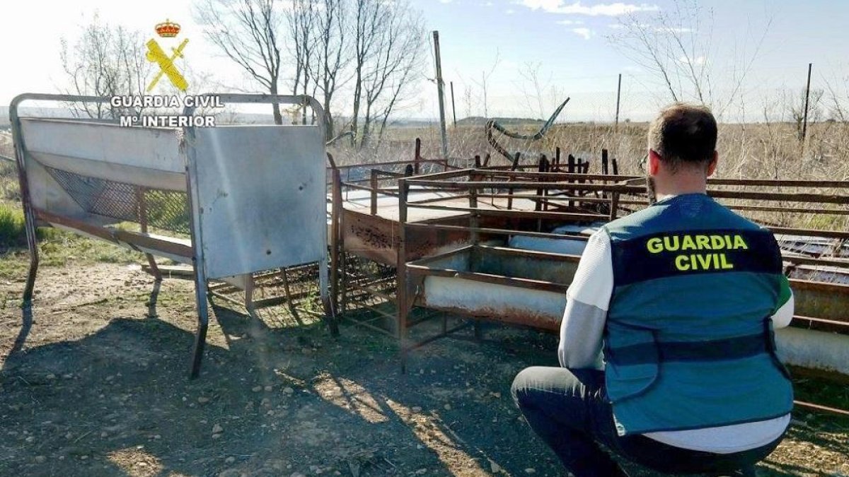 Material incautado por la Guardia Civil-ICAL