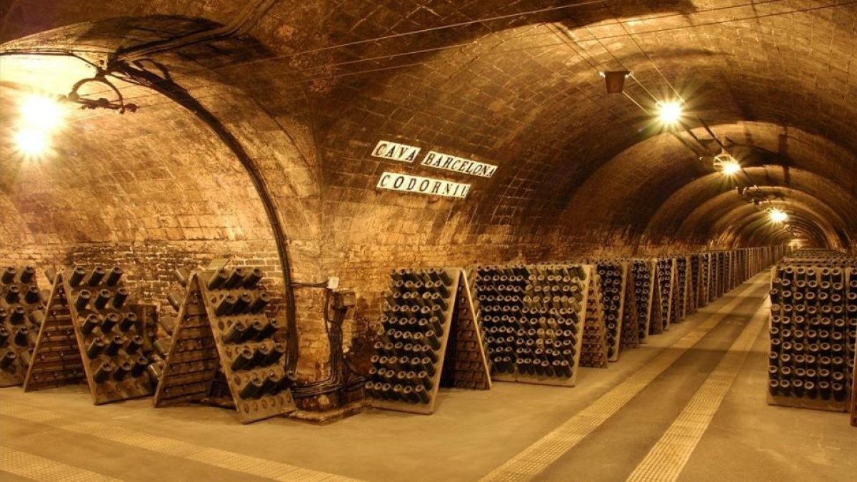 Imagen de una de las bodegas de Codorniu.-EL PERIÓDICO