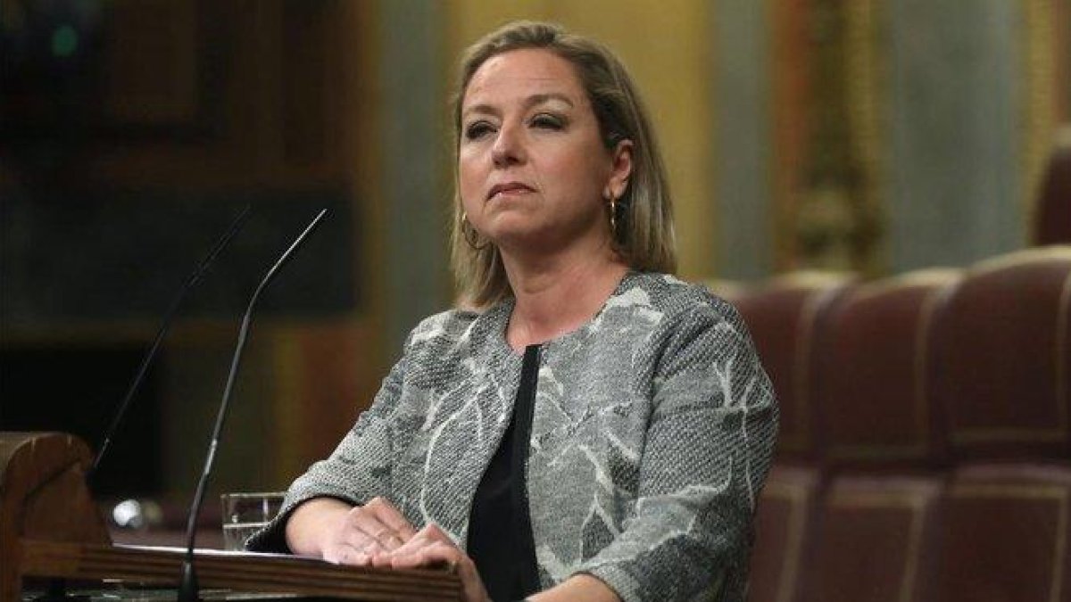 La diputada de Coalición Canaria Ana Oramas.-EFE