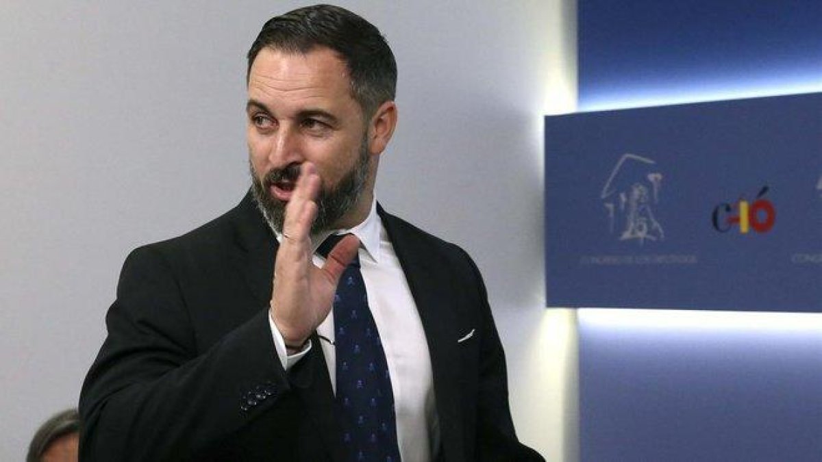 El presidente de Vox, Santiago Abascal, en el Congreso, en una rueda de prensa.-DAVID CASTRO