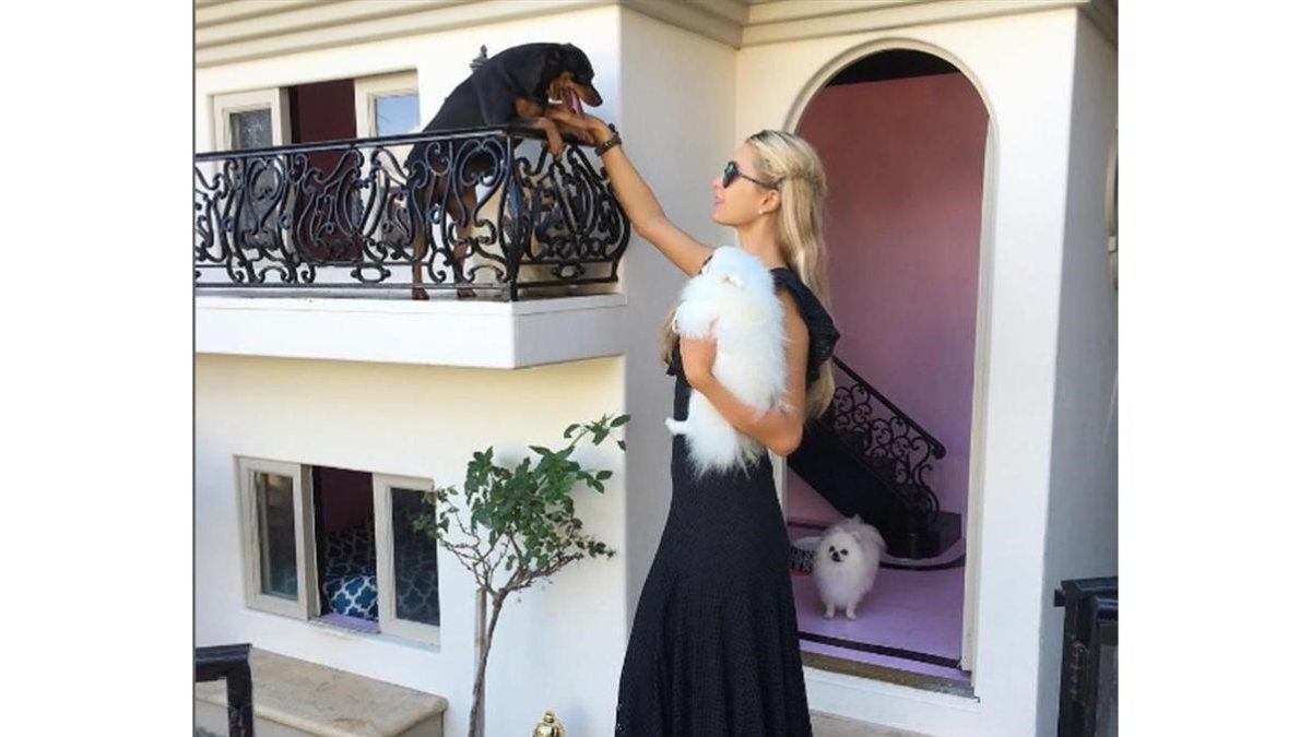 Paris Hilton muestra la mansión que ha construido para sus 13 chihuahuas.-INSTAGRAM