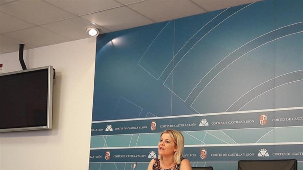 Ana Agudíez, portavoz de Igualdad del Grupo Parlamentario Socialista, en una rueda de prensa en las Cortes.-EUROPA PRESS