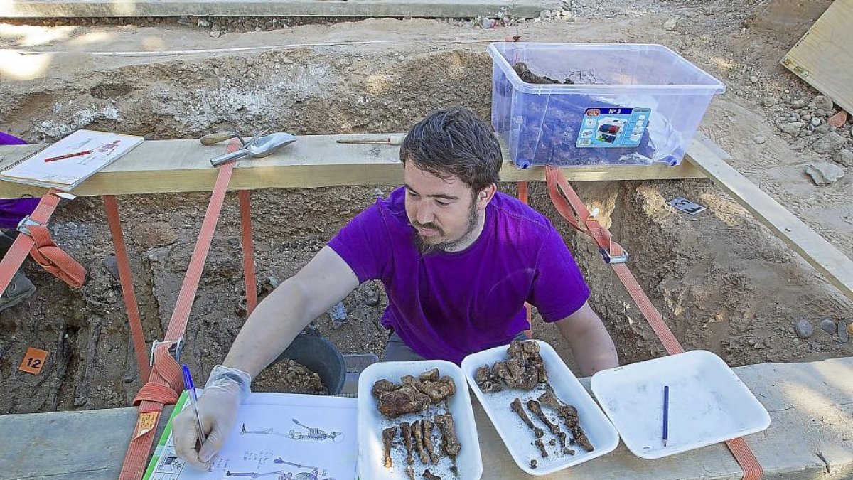 Un miembro de ARMH trabaja en las exhumaciones del cementerio del Carmen (Valladolid).-J. M. LOSTAU