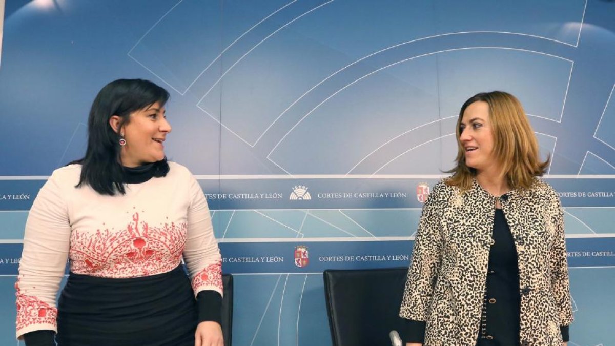 La secretaria de Organización del PSOE de Castilla y León, Ana Sánchez, y la viceportavoz del Grupo Parlamentario, Virginia Barcones, atienden a los medios tras la reunión de la Dirección del Grupo Parlamentario Socialista-ICAL