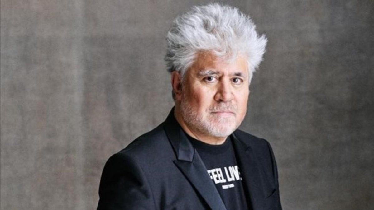El realizador Pedro Almodóvar, durante el rodaje de 'Julieta'.-NICO BUSTOS