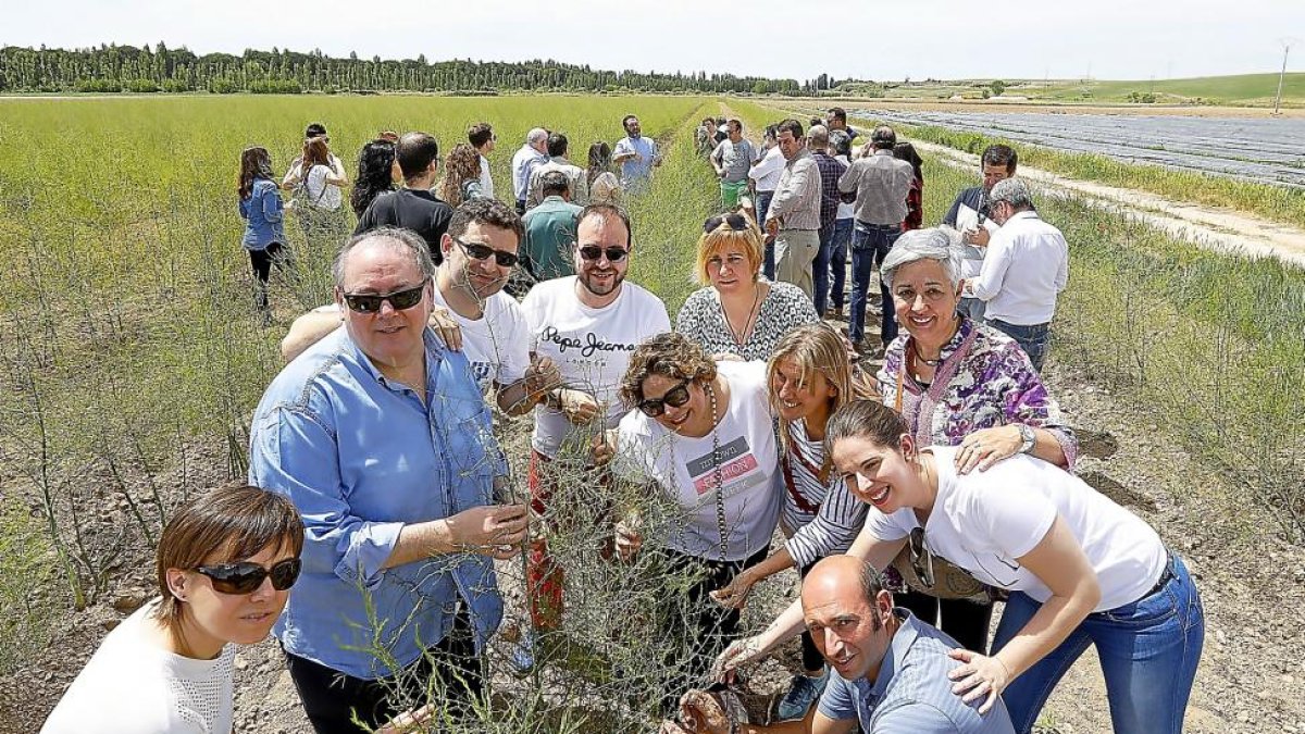 Un grupo de cocineros y otros participantes ayer, durante una visita a uno de los campos de cutivo de espárragos de Tudela de Duero.-J.M. Lostau