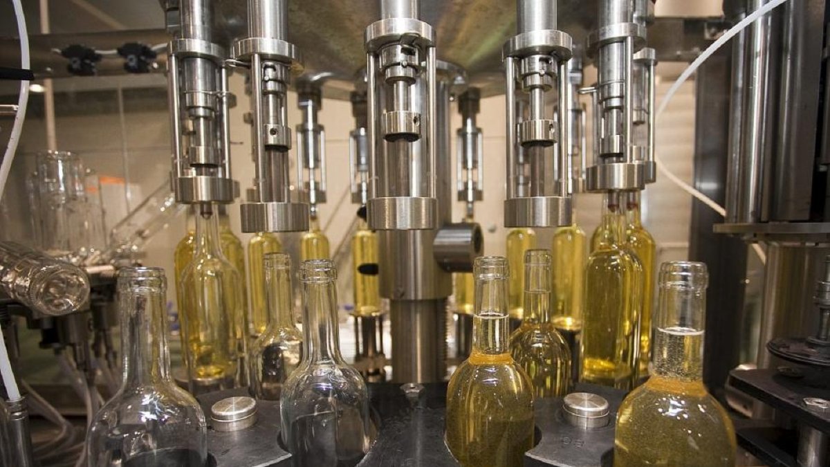 Línea de embotellado en una bodega de D.O. Rueda.-PABLO REQUEJO