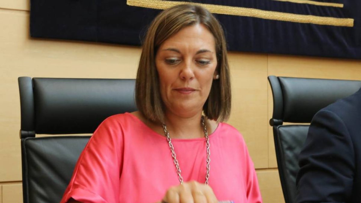 La consejera de Agricultura y Ganadería, Milagros Marcos, comparece en las Cortes para exponer el programa de actuaciones de su departamento para la presente legislatura.-ICAL
