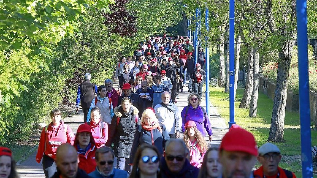 Varios andarines recorren un tramo del recorrido largo de la Marcha Asprona.-J.M. LOSTAU