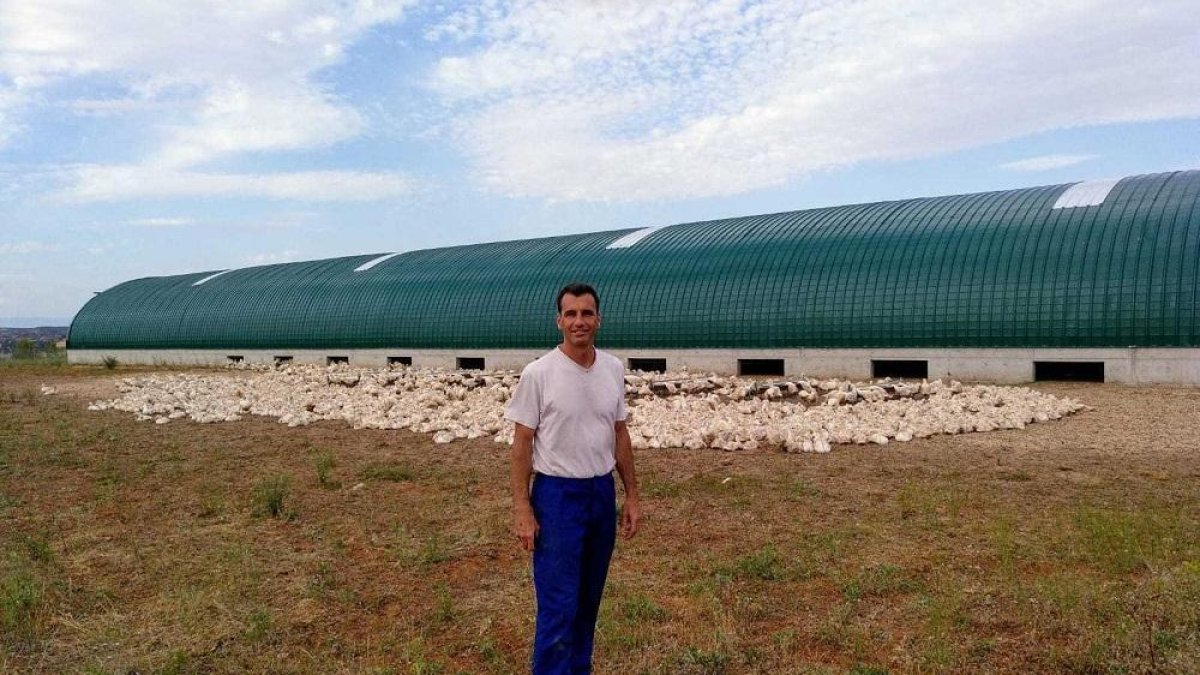 Óscar Caso en la granja de patos de San Esteban de Gormaz.-HDS
