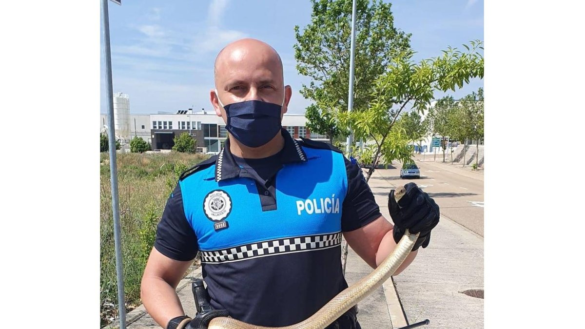 TWITTER POLICÍA LOCAL