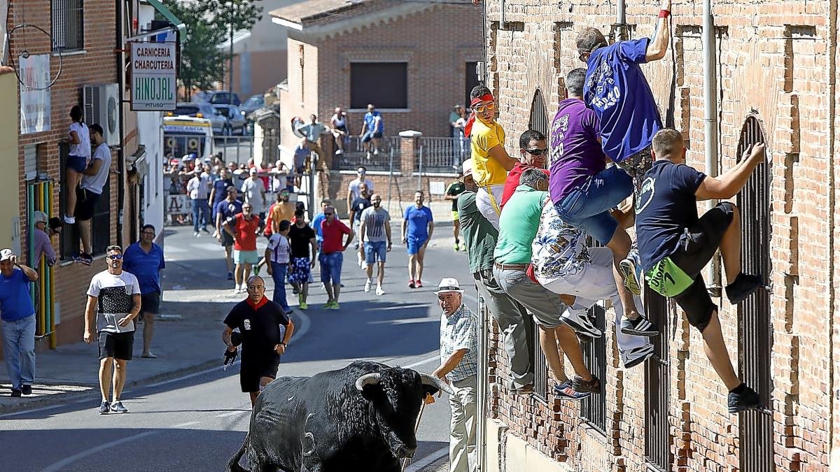Uno de los toros recorre la Calle Real de Serrada ante la precaución de sus vecinos.-J.M. LOSTAU