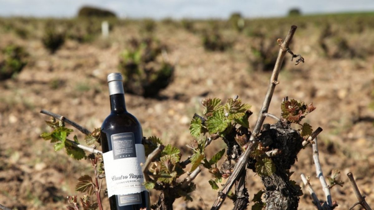 Una botella Cuatro Rayas Longverdejo Viñedos 
Centenarios 2020. / E.M.