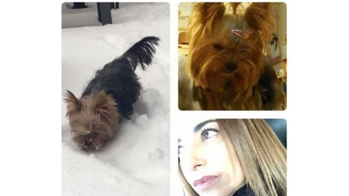 Composición de imágenes con la que Mariló Montero ha comunicado el fallecimiento de su mascota, la perrita Lola.-
