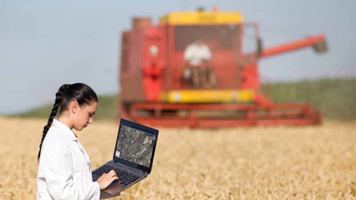 Peritaje de una parcela agrícola en Castilla y León.-CAJA RURAL