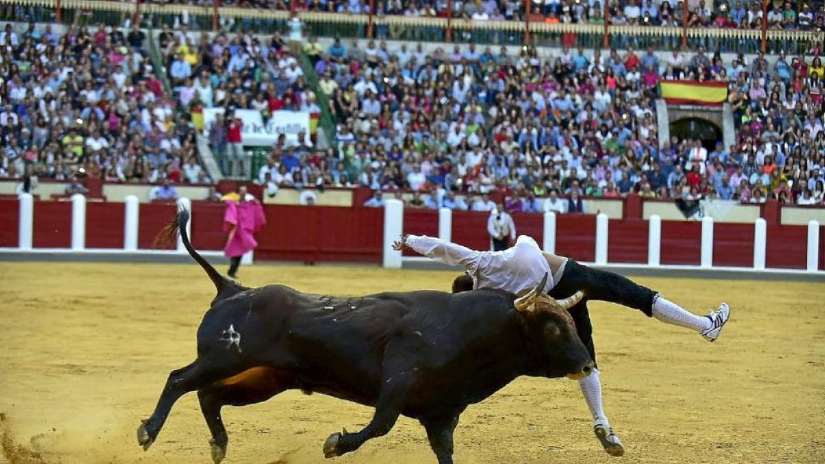 Momento en el que resulta corneado el recortador zamorano Dani Alonso.-José Salvador.