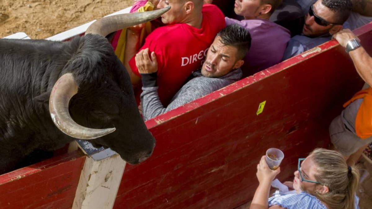 Una mujer se aferra a su vaso cuando el toro se acerca en Peñafiel.-Pablo Requejo