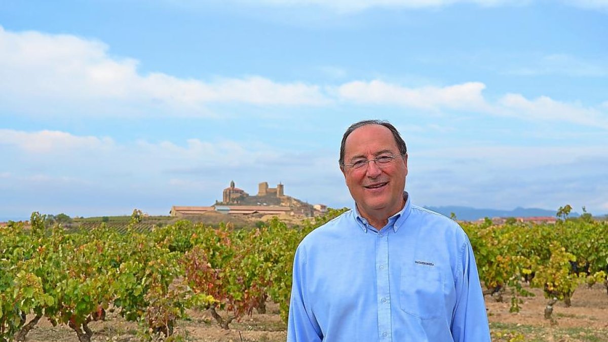 El bodeguero vallisoletano Carlos Moro, en un viñedo.-EM